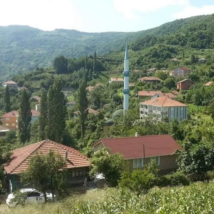 Ayancık Maden Köyü Resimleri 6