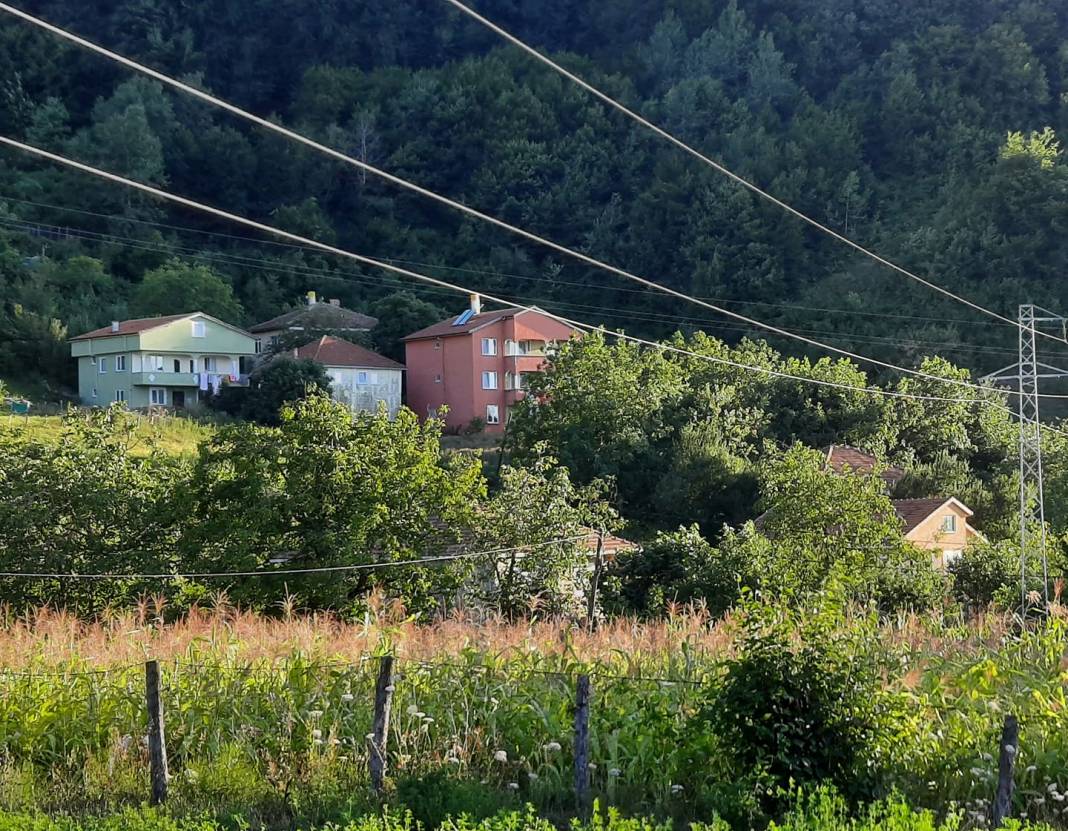 Ayancık Maden Köyü Resimleri 8