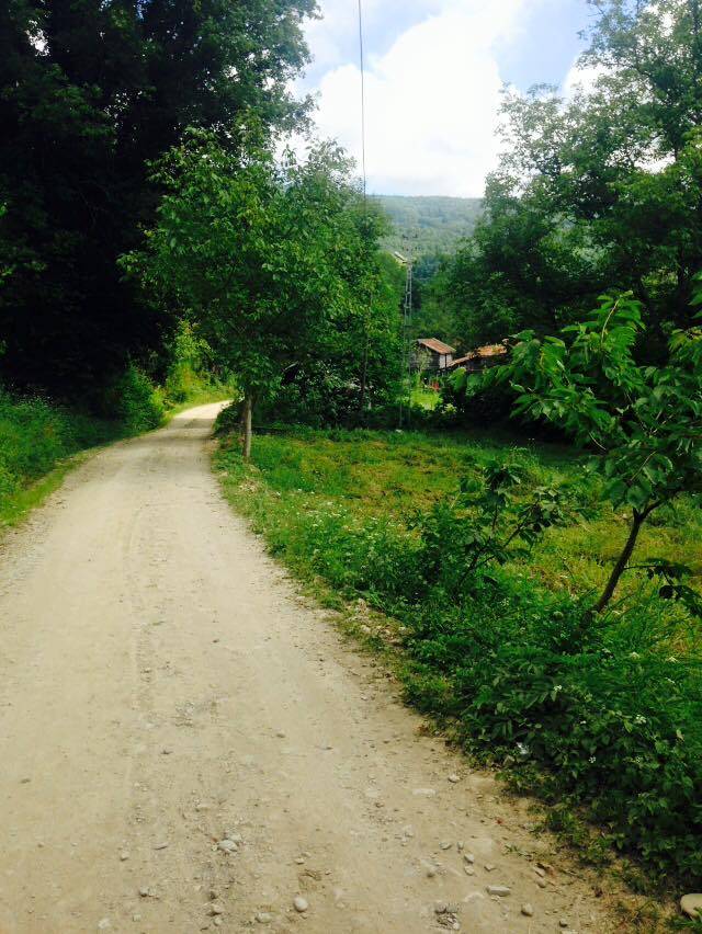 Ayancık Mustafakemalpaşa Köyü Resimleri 1