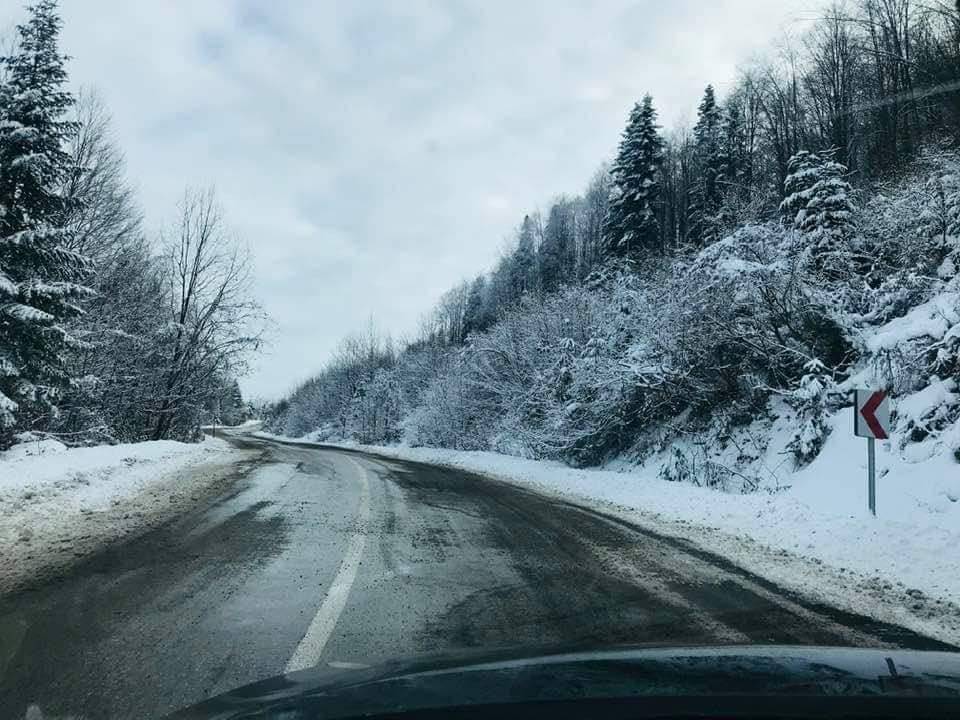 Ayancık Mustafakemalpaşa Köyü Resimleri 4