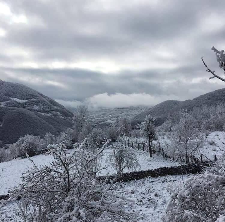 Ayancık Mustafakemalpaşa Köyü Resimleri 5