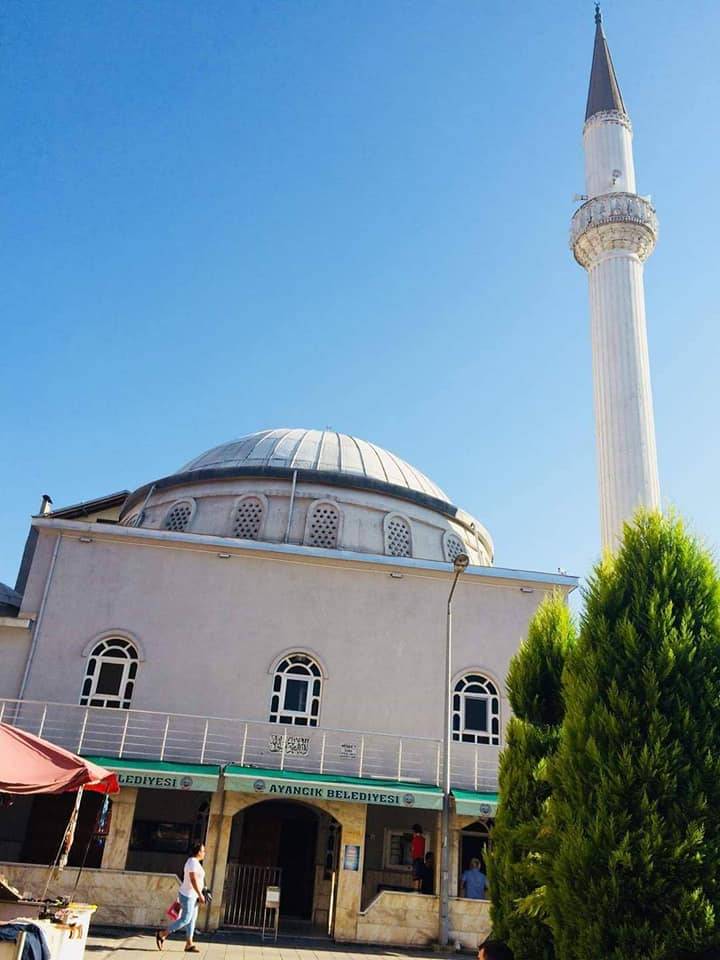 Ayancık Mustafakemalpaşa Köyü Resimleri 7