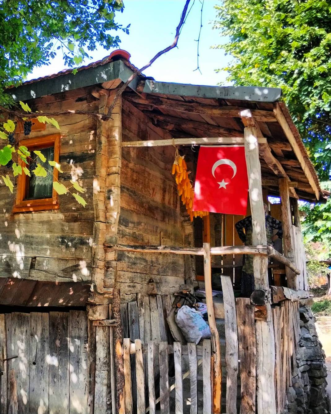 Ayancık Mustafakemalpaşa Köyü Resimleri 8