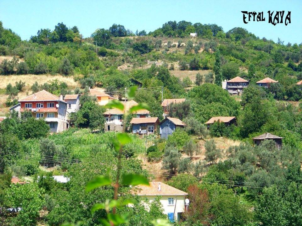 Ayancık Ortalık Köyü Resimleri 1