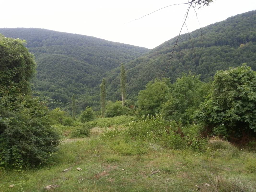 Ayancık Ortalık Köyü Resimleri 10