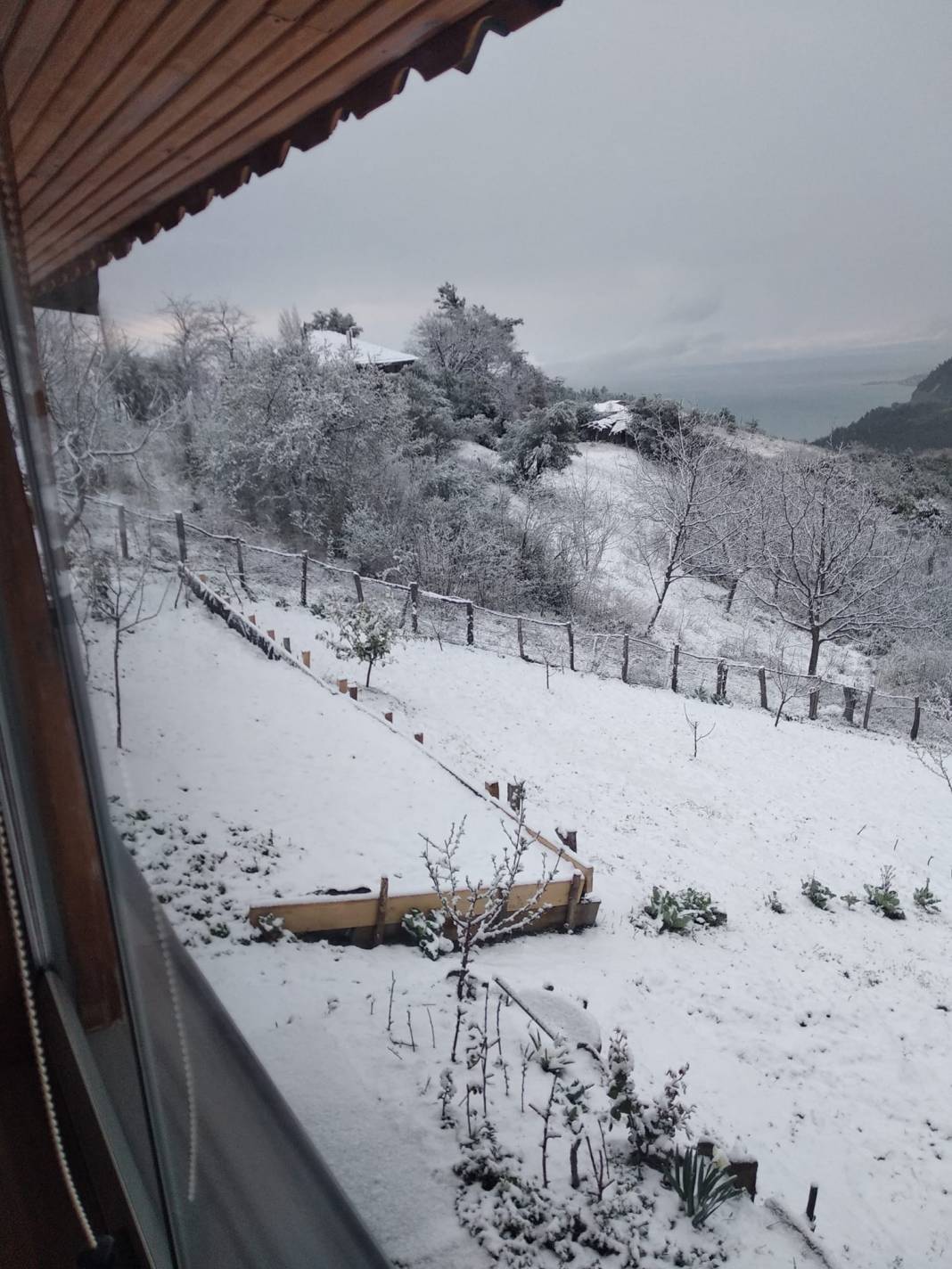 Ayancık Ortalık Köyü Resimleri 11
