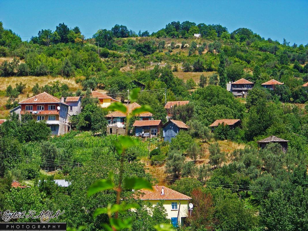 Ayancık Ortalık Köyü Resimleri 12