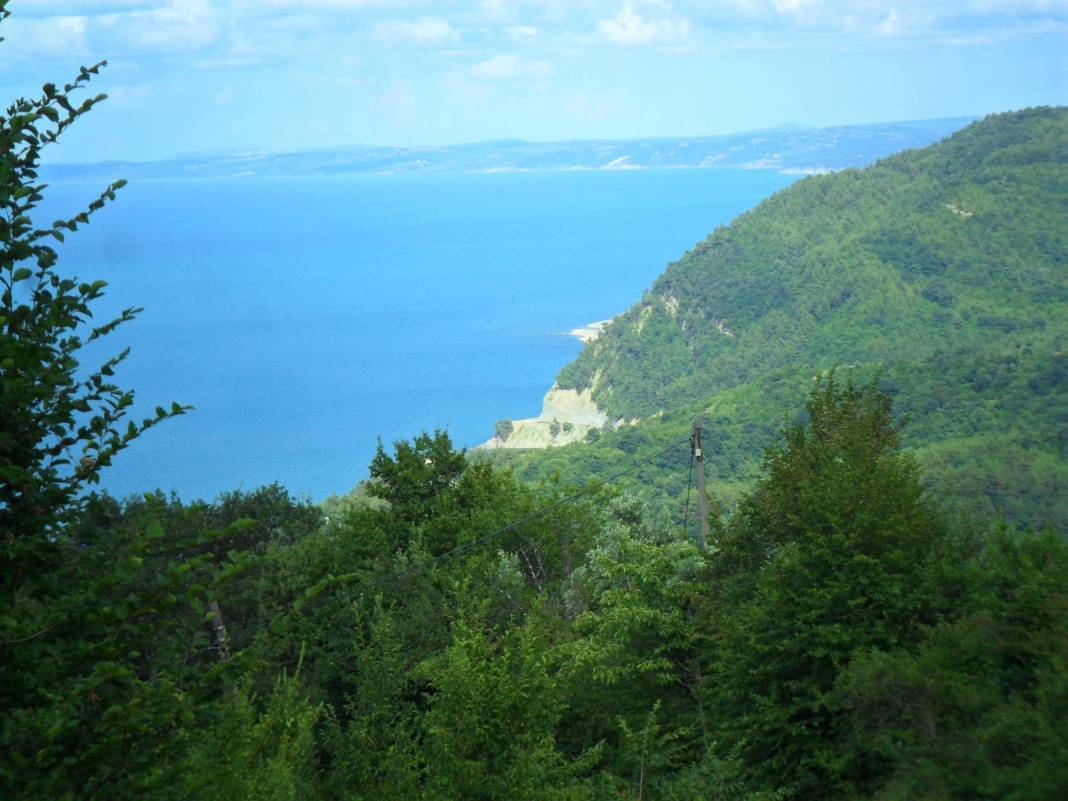 Ayancık Ortalık Köyü Resimleri 4