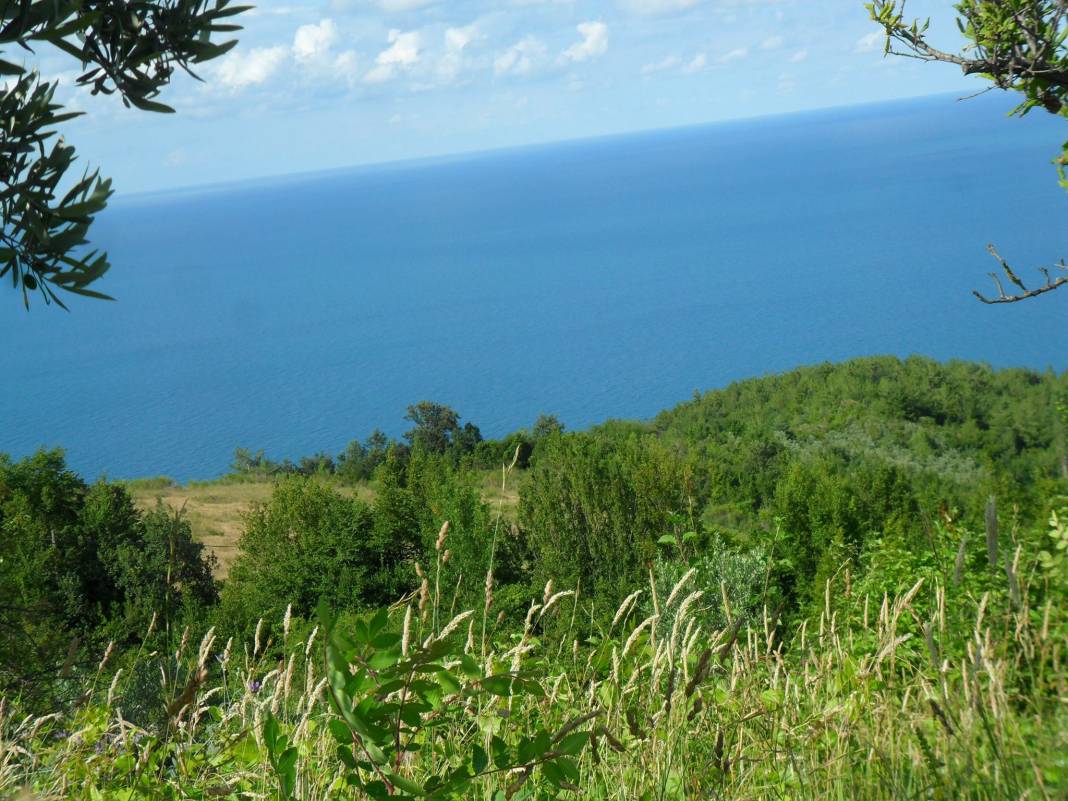 Ayancık Ortalık Köyü Resimleri 5