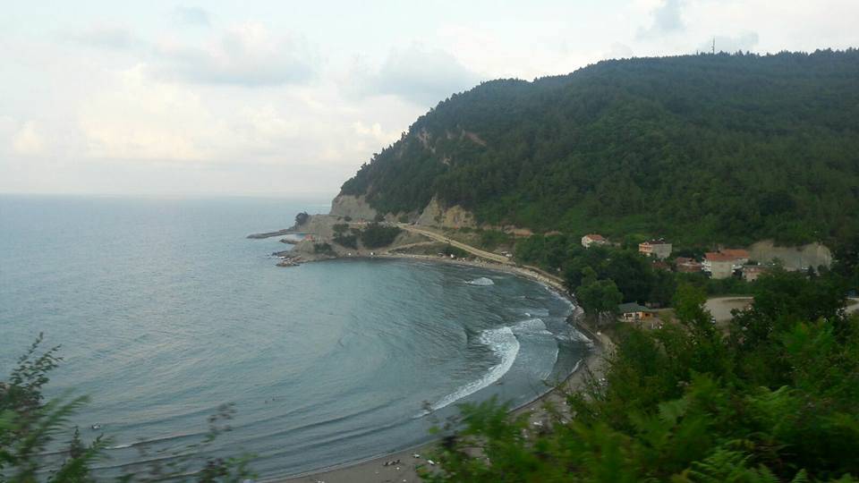 Ayancık Ortalık Köyü Resimleri 7