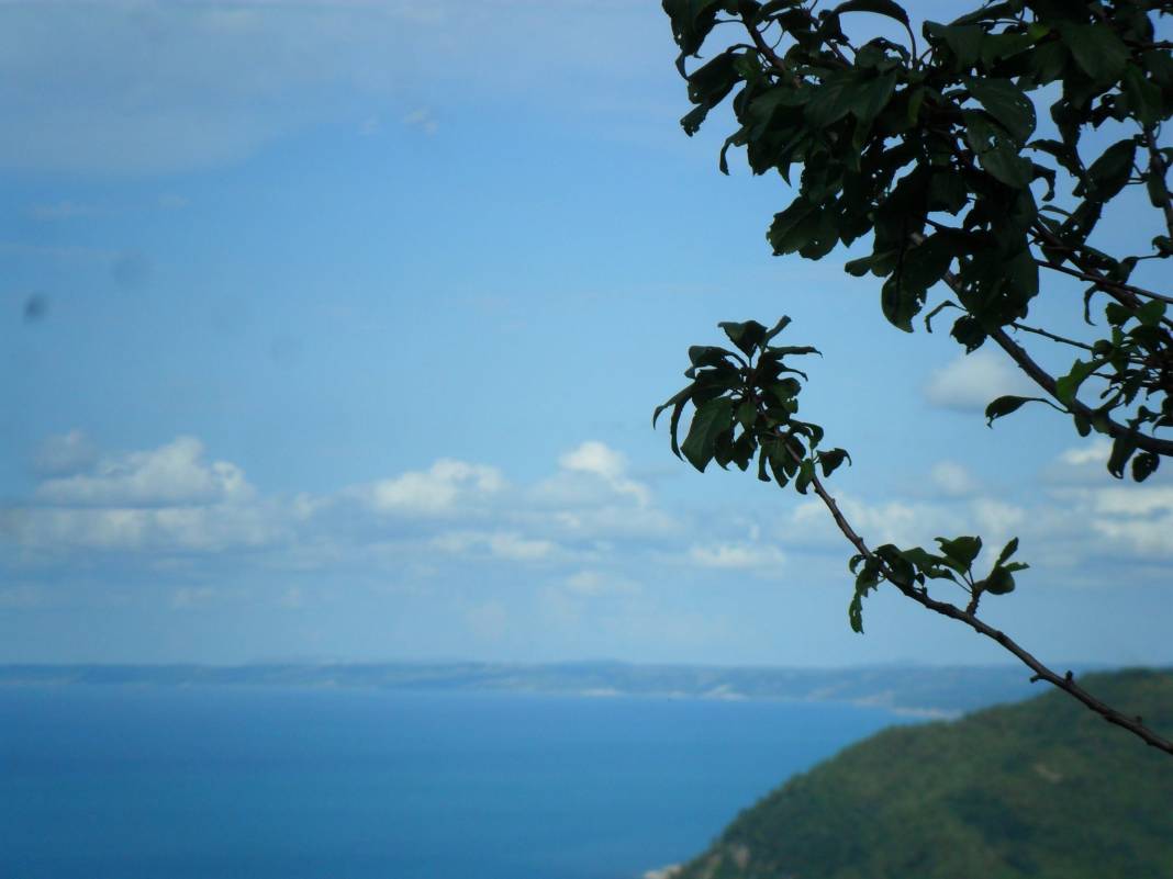 Ayancık Ortalık Köyü Resimleri 8