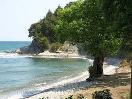 Ayancık Ortalık Köyü Resimleri 9