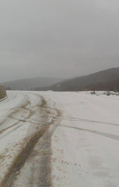 Ayancık Yenikonak Köyü Resimleri 2