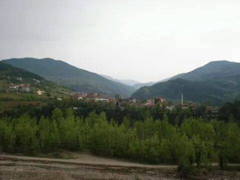 Ayancık Yenikonak Köyü Resimleri 3