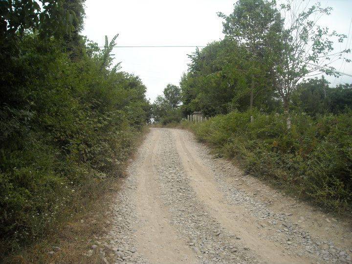 Ayancık Ömerdüz Köyü Resimleri 1