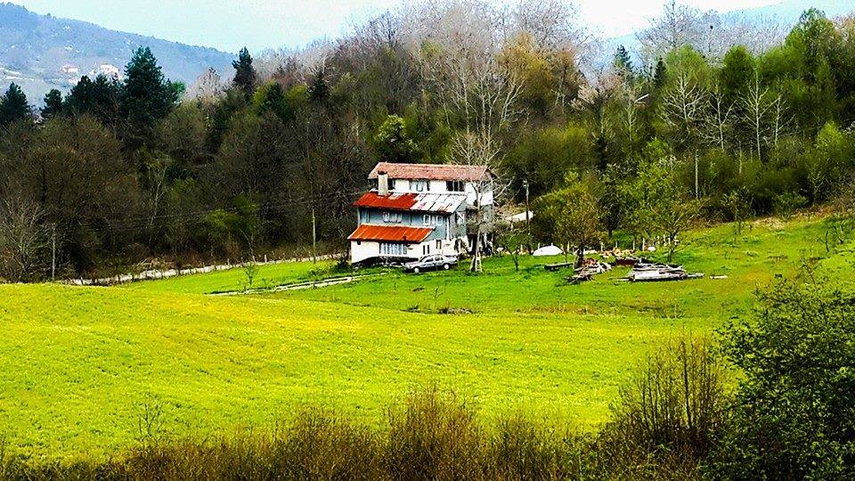 Ayancık Ömerdüz Köyü Resimleri 11