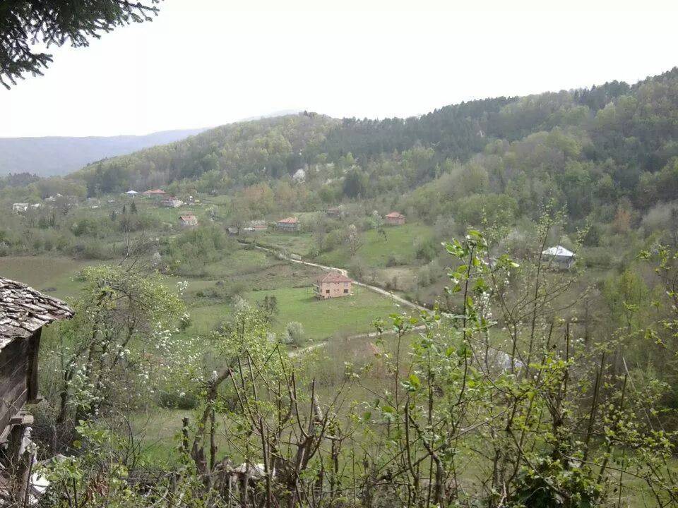 Ayancık Ömerdüz Köyü Resimleri 13