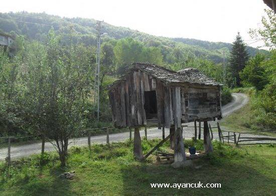 Ayancık Ömerdüz Köyü Resimleri 3