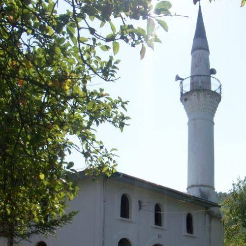 Ayancık Ömerdüz Köyü Resimleri 5