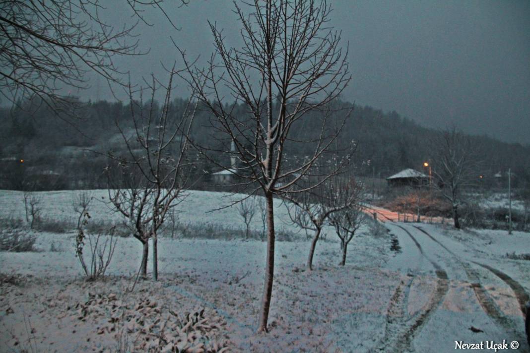 Ayancık Ömerdüz Köyü Resimleri 6