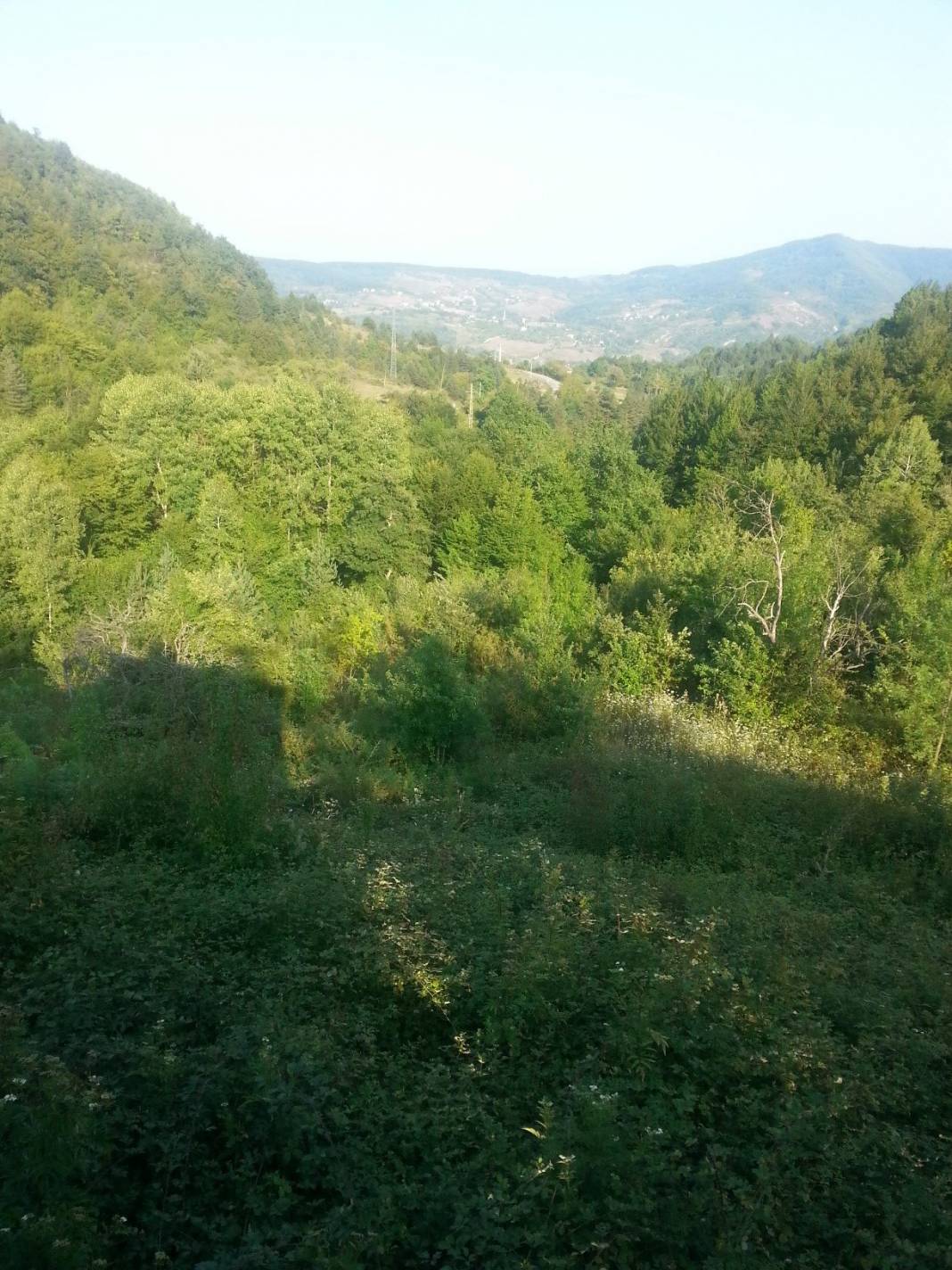 Ayancık Ömerdüz Köyü Resimleri 7