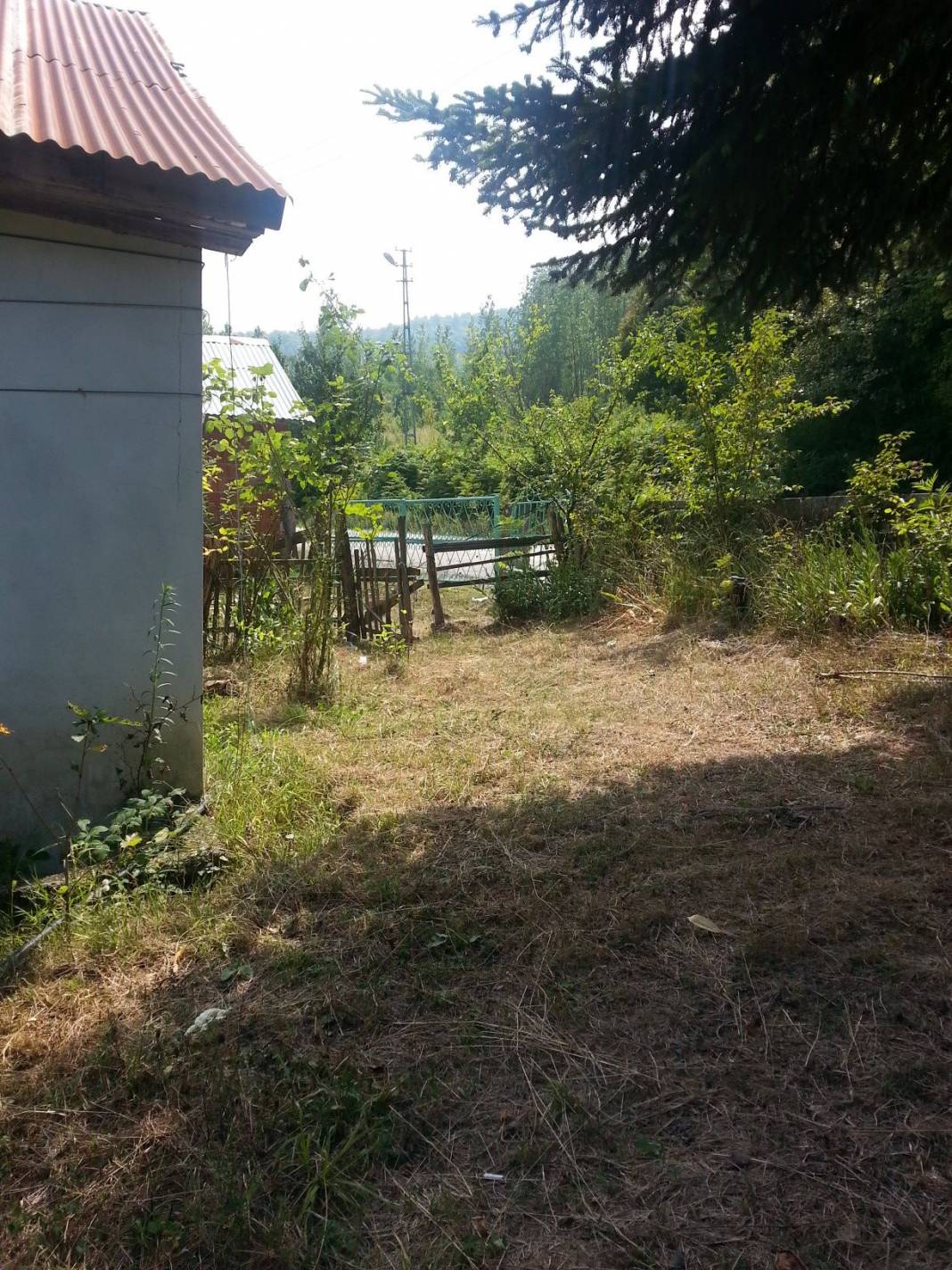 Ayancık Ömerdüz Köyü Resimleri 8