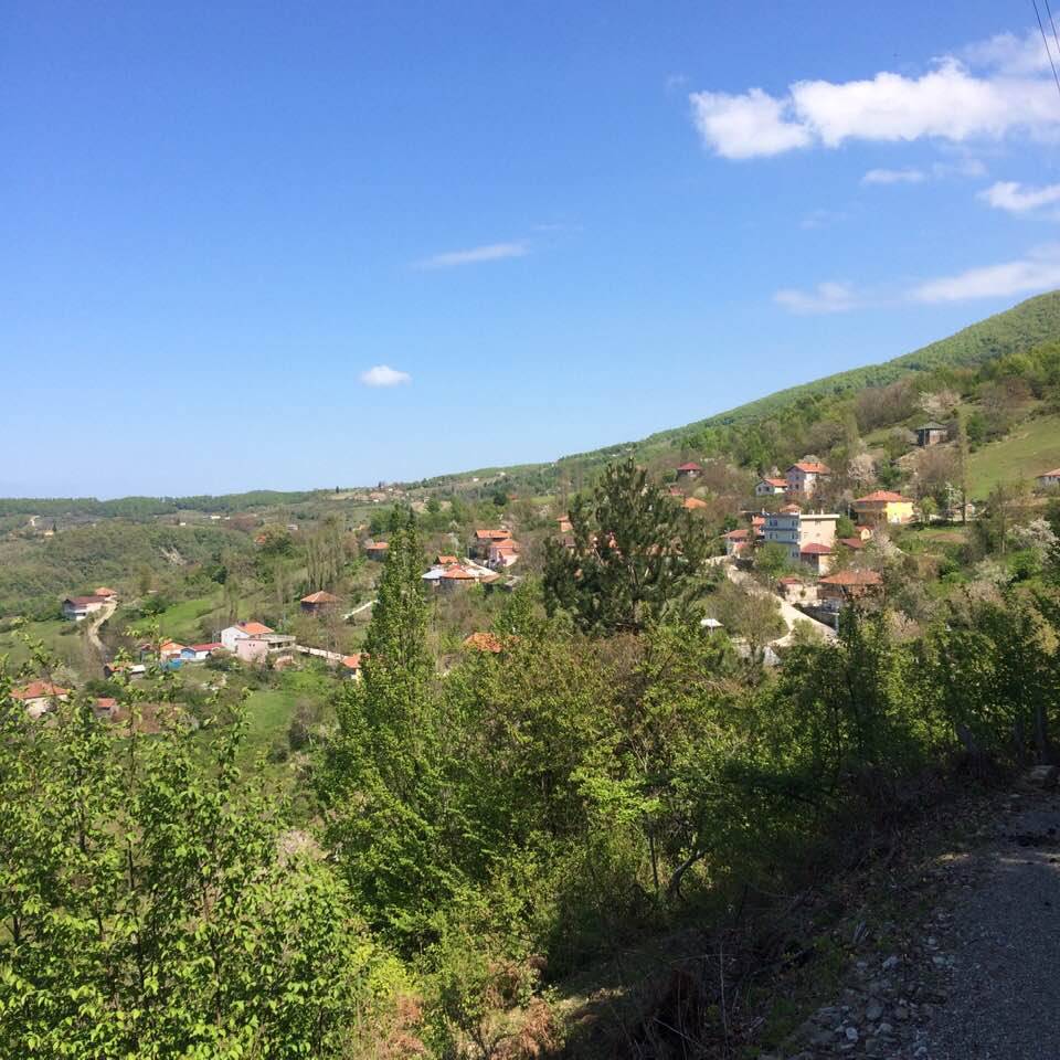 Ayancık Pazarcık Köyü Resimleri 11