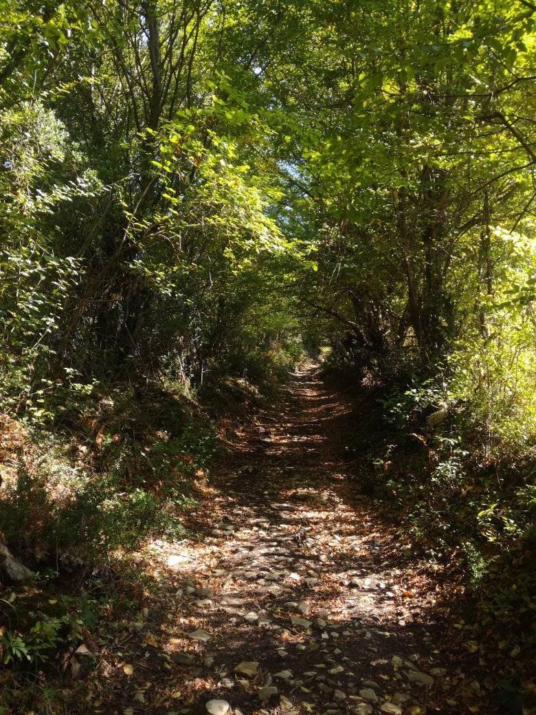 Ayancık Pazarcık Köyü Resimleri 15