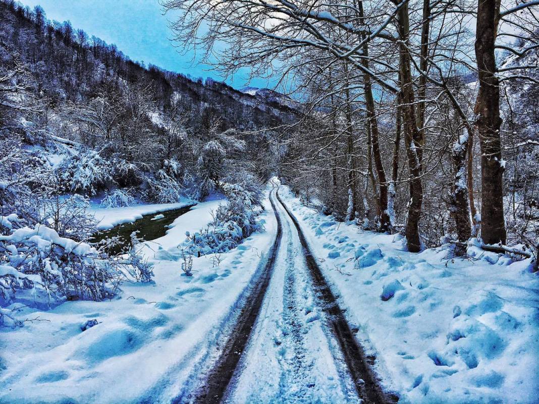 Ayancık Pazarcık Köyü Resimleri 17