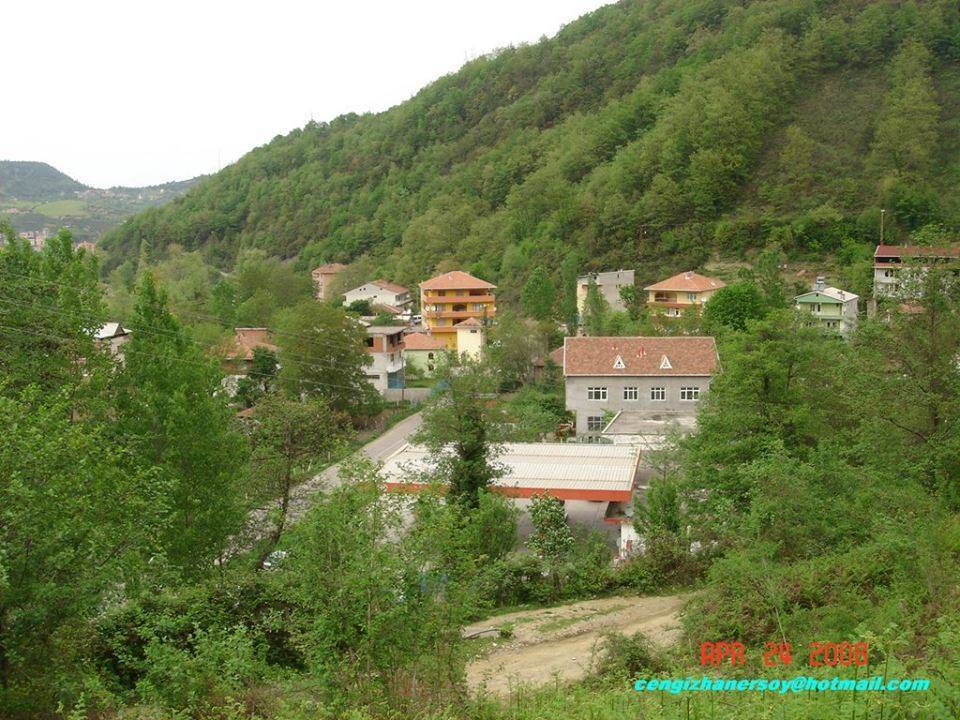 Ayancık Pazarcık Köyü Resimleri 2