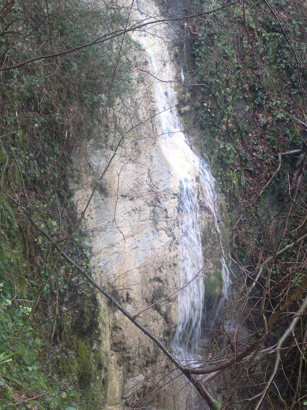 Ayancık Pazarcık Köyü Resimleri 3