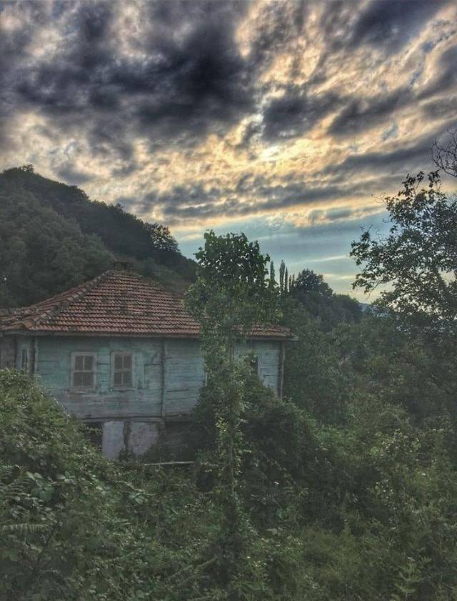 Ayancık Pazarcık Köyü Resimleri 5