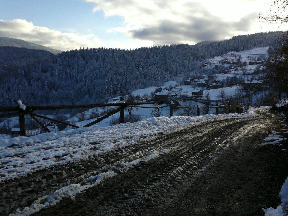 Ayancık Sansar Köyü Resimleri 11