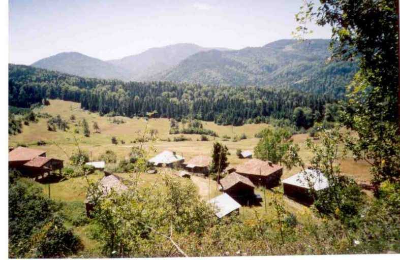 Ayancık Sansar Köyü Resimleri 2