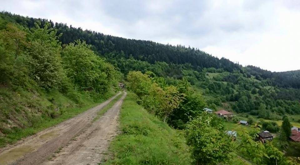 Ayancık Sansar Köyü Resimleri 4