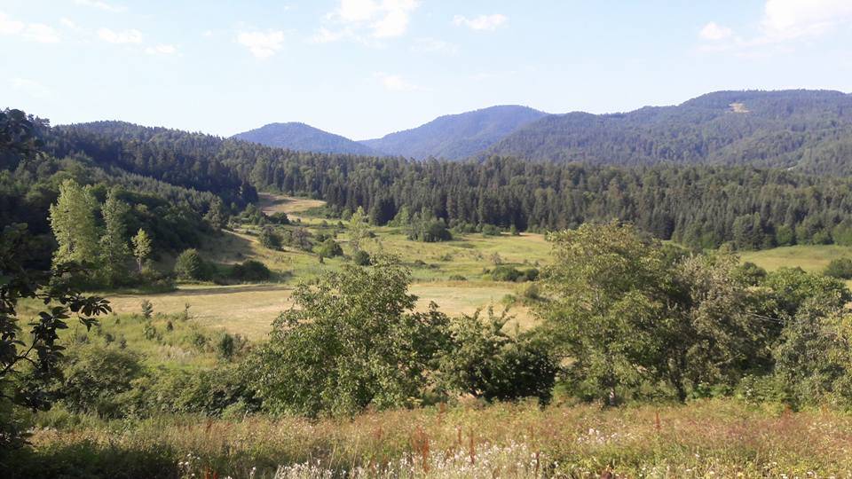 Ayancık Sansar Köyü Resimleri 6