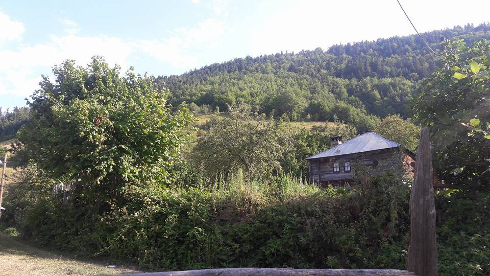 Ayancık Sansar Köyü Resimleri 7