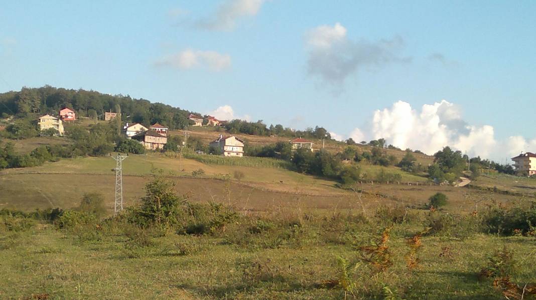 Ayancık Sofu Köyü Resimleri 13