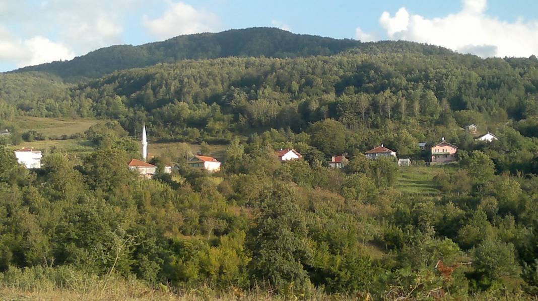 Ayancık Sofu Köyü Resimleri 2
