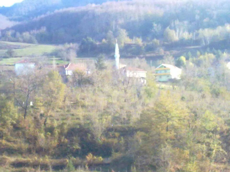 Ayancık Sofu Köyü Resimleri 3