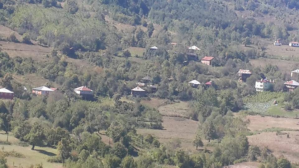 Ayancık Sofu Köyü Resimleri 6