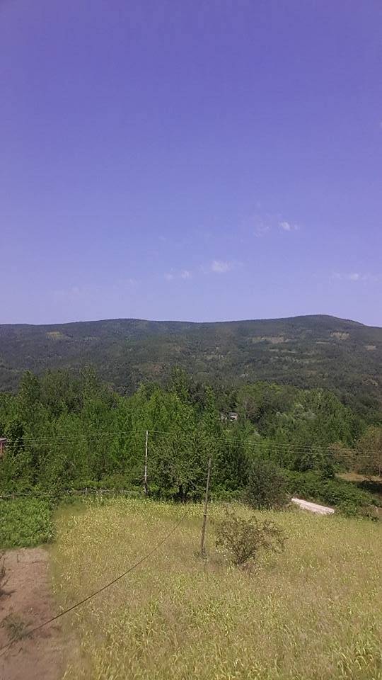 Ayancık Söküçayırı Köyü Resimleri 2