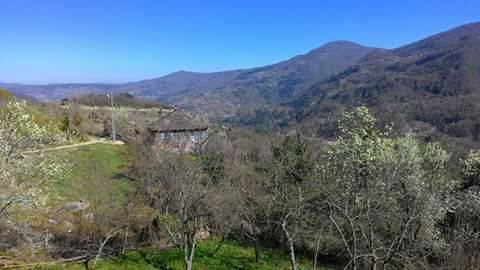 Ayancık Söküçayırı Köyü Resimleri 4