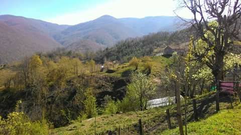 Ayancık Söküçayırı Köyü Resimleri 5