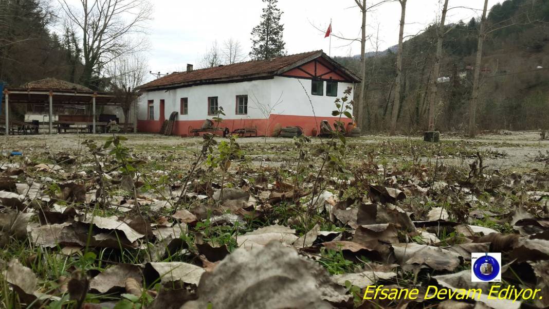 Ayancık Söküçayırı Köyü Resimleri 6