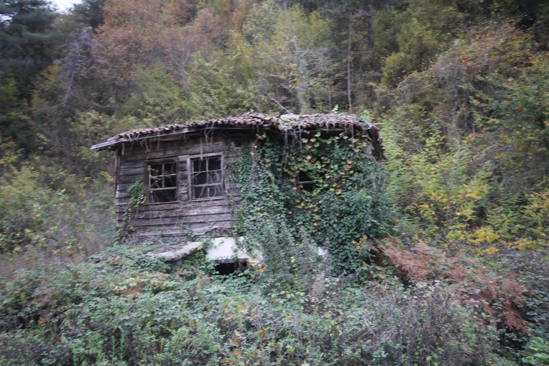 Ayancık Söküçayırı Köyü Resimleri 8