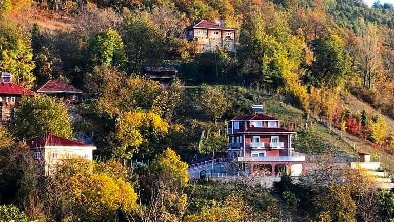 Ayancık Söküçayırı Köyü Resimleri 9