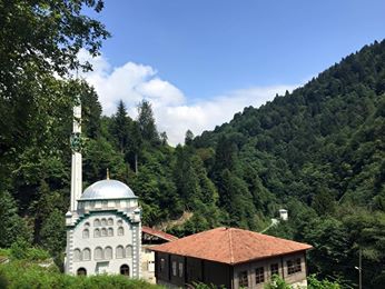 Çayeli Çukurluhoca Köyü Resimleri 2