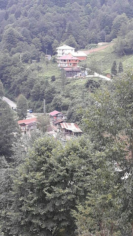 Çayeli Çukurluhoca Köyü Resimleri 3