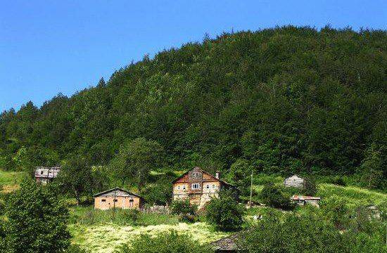 Ayancık Sulusökü Köyü Resimleri 1